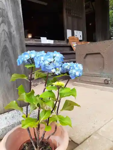 伏木香取神社の自然