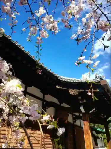 玄国寺(東京都)