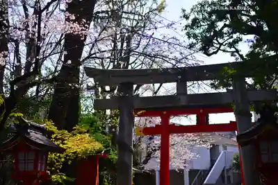 馬橋稲荷神社(東京都)