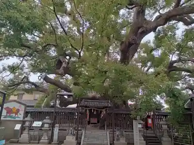 三島神社のその他建物