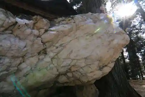 鹿島大神宮の自然