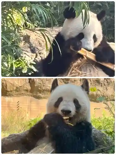 寛永寺不忍池弁天堂の周辺