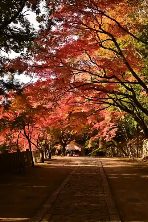 永源寺(滋賀県)