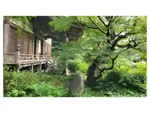 妙法寺の御朱印