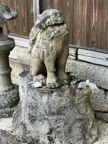 住吉神社の狛犬