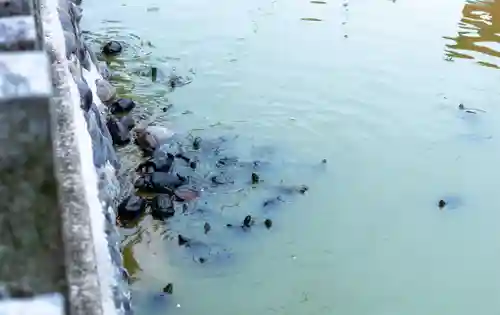 川原神社(愛知県)