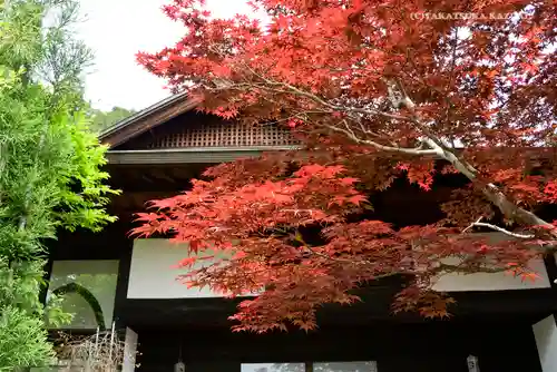 大悲願寺の自然