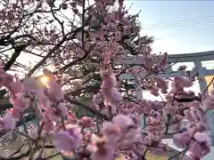 湯島天満宮(長野分社)(長野県)