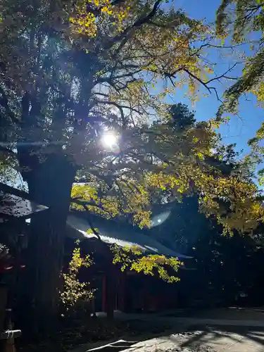 香取神宮(千葉県)