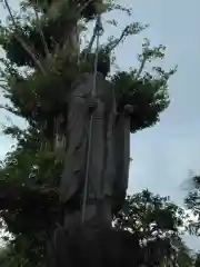 福泉寺(神奈川県)