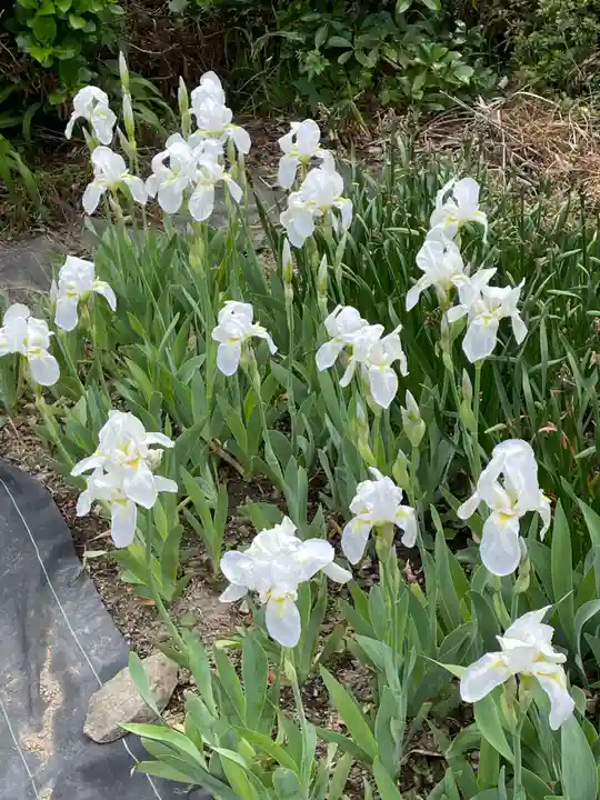 興禅寺(兵庫県)