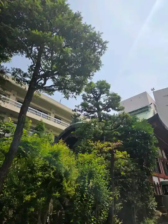 金刀比羅宮東京分社(東京都)