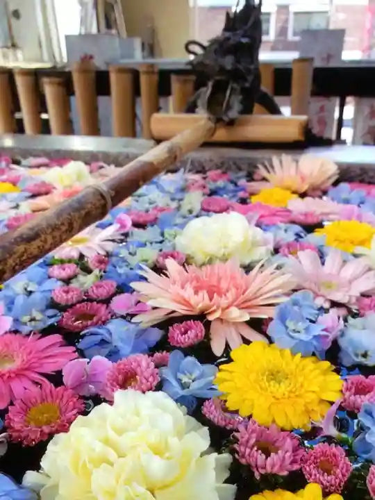 高円寺氷川神社(東京都)