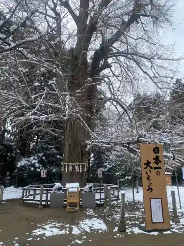 水戸八幡宮(茨城県)