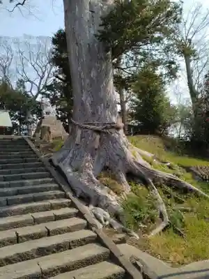 木間塚神明社(宮城県)