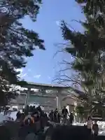 住吉神社の鳥居