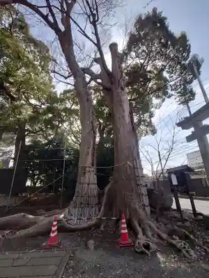 倉見神社(神奈川県)