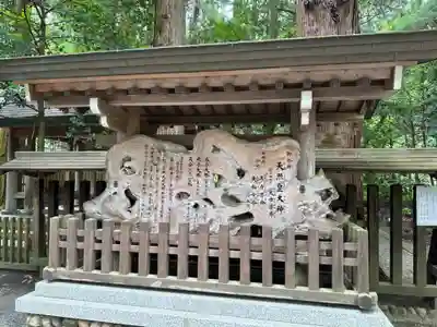 天岩戸神社(宮崎県)