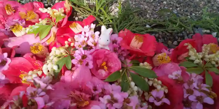 出雲大神宮の庭園