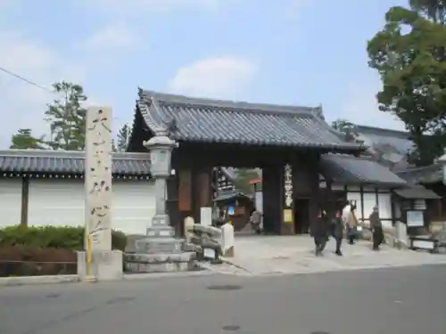 妙心寺（妙心禅寺）(京都府)