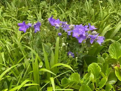 三角寺(愛媛県)