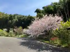 大山祇神社の自然