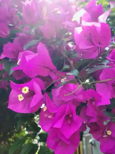 本郷氷川神社(東京都)