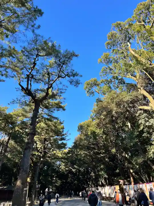 熱田神宮の自然