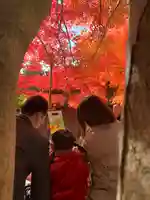 滑川神社 - 仕事と子どもの守り神(福島県)