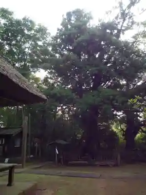 宝珠院観音堂(千葉県)