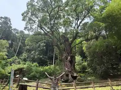 武雄神社(佐賀県)