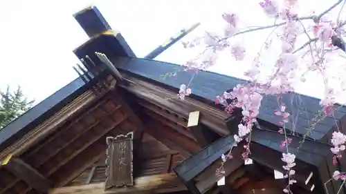 開成山大神宮の本殿