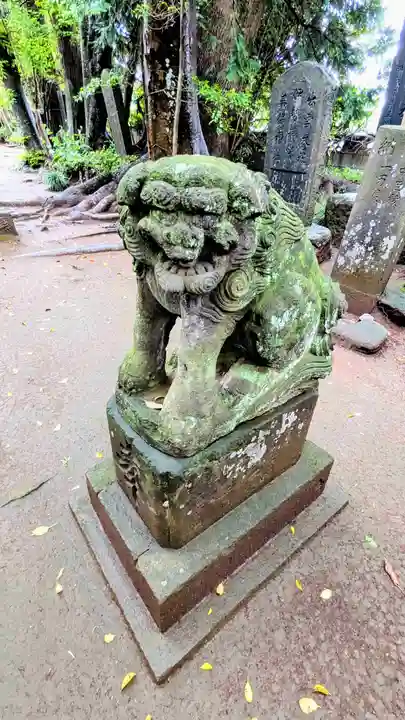 七百餘所神社 の狛犬