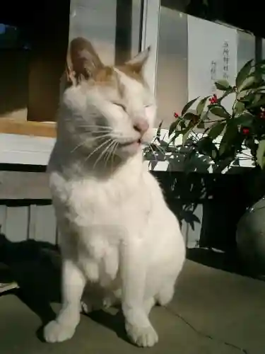 五所神社の動物
