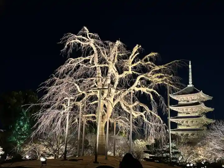 東寺(教王護国寺)の塔