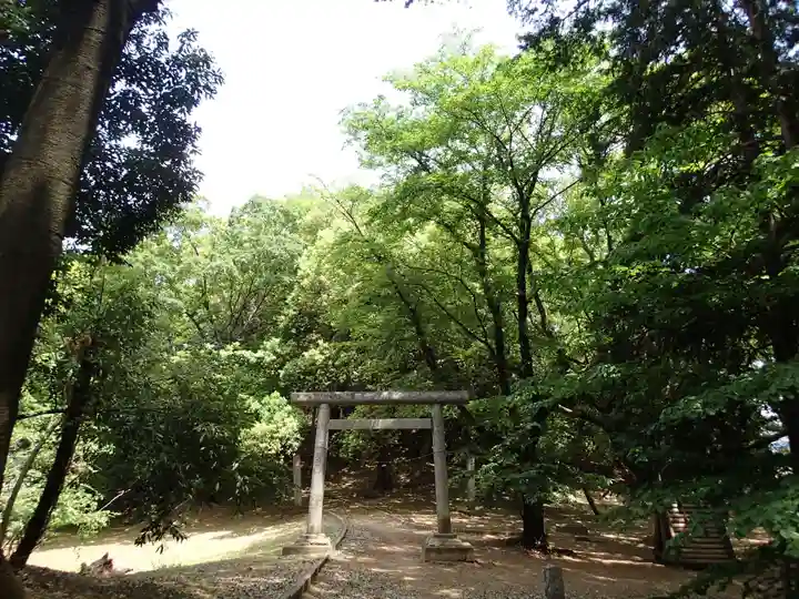 浅間大神の自然