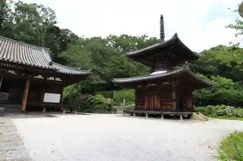 長保寺の塔