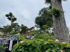 白山神社の建物その他