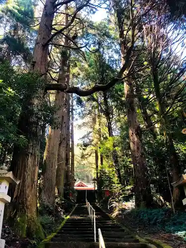 伊邪那岐神社の庭園