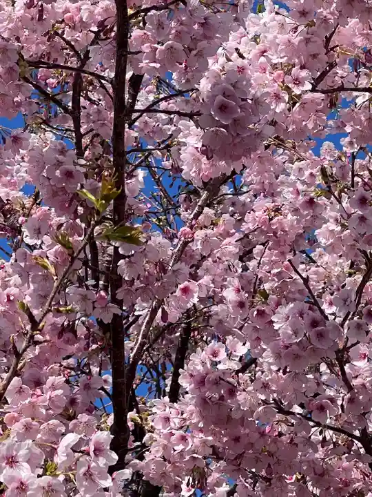 遠見岬神社(千葉県)