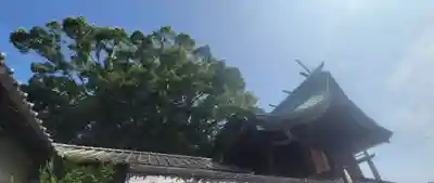 稲荷神社(愛媛県)