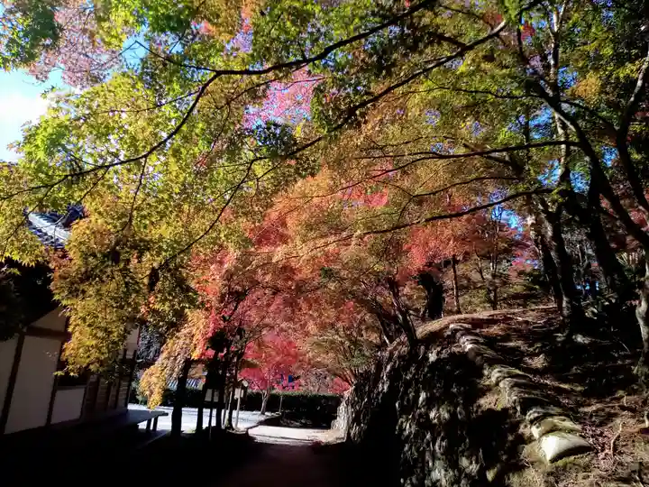 神峯山寺(大阪府)