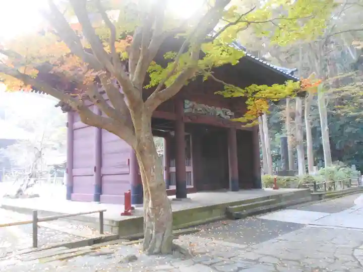 妙本寺のその他建物