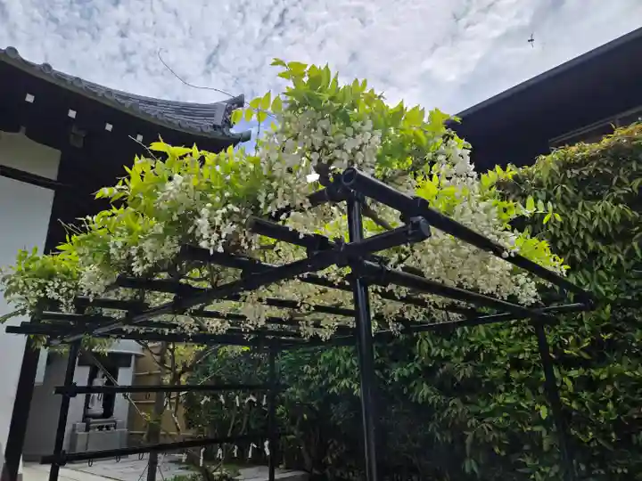 不空院(奈良県)