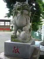 杉山社(上星川鎮守)の狛犬