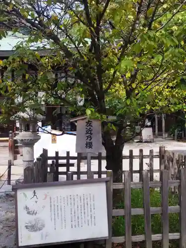 白峯神宮(京都府)