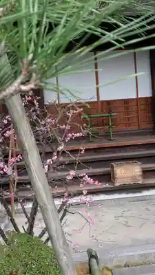 宝蔵寺(京都府)