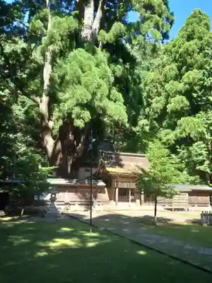 若狭姫神社（若狭彦神社下社）(福井県)