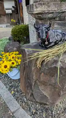 大松禅寺(京都府)