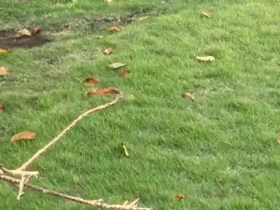 大船観音寺(神奈川県)
